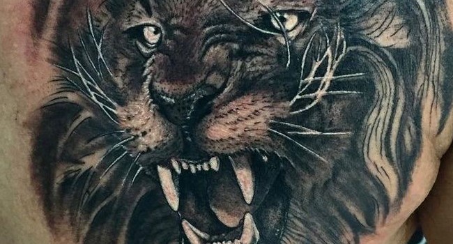 Lion